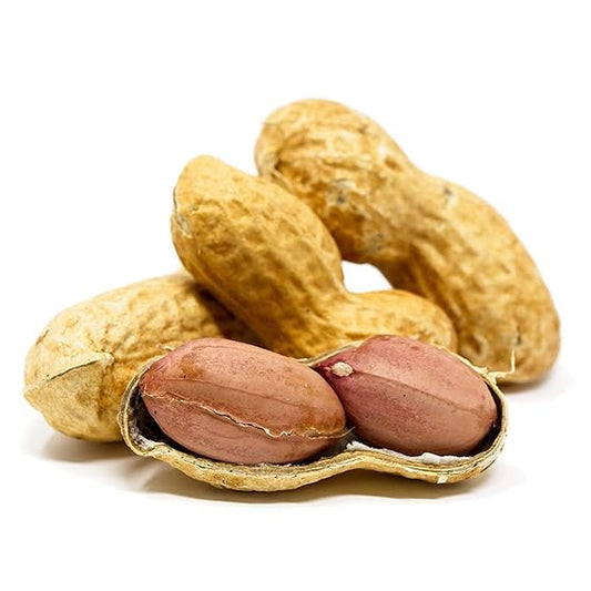 Roasted Peanuts