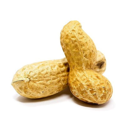 Roasted Peanuts